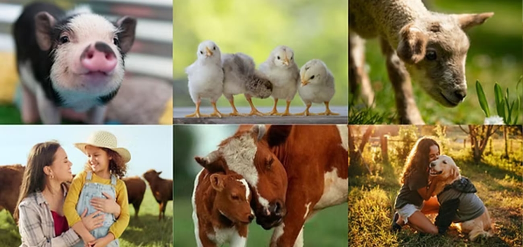 A New Year to Try Something New: Why Veganuary and Plant-Based Eating Are Gaining Global Momentum